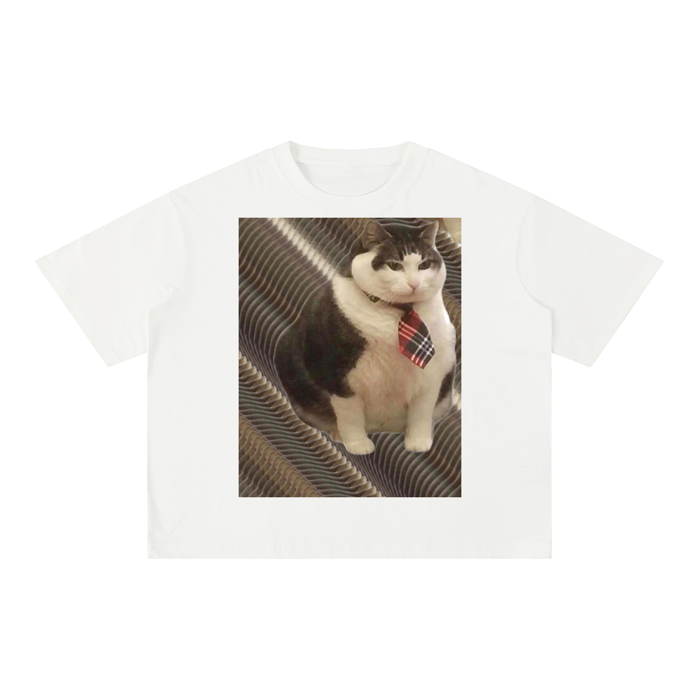 FtCat DupI, Mineral Wash Boxy Cotton T-Shirt