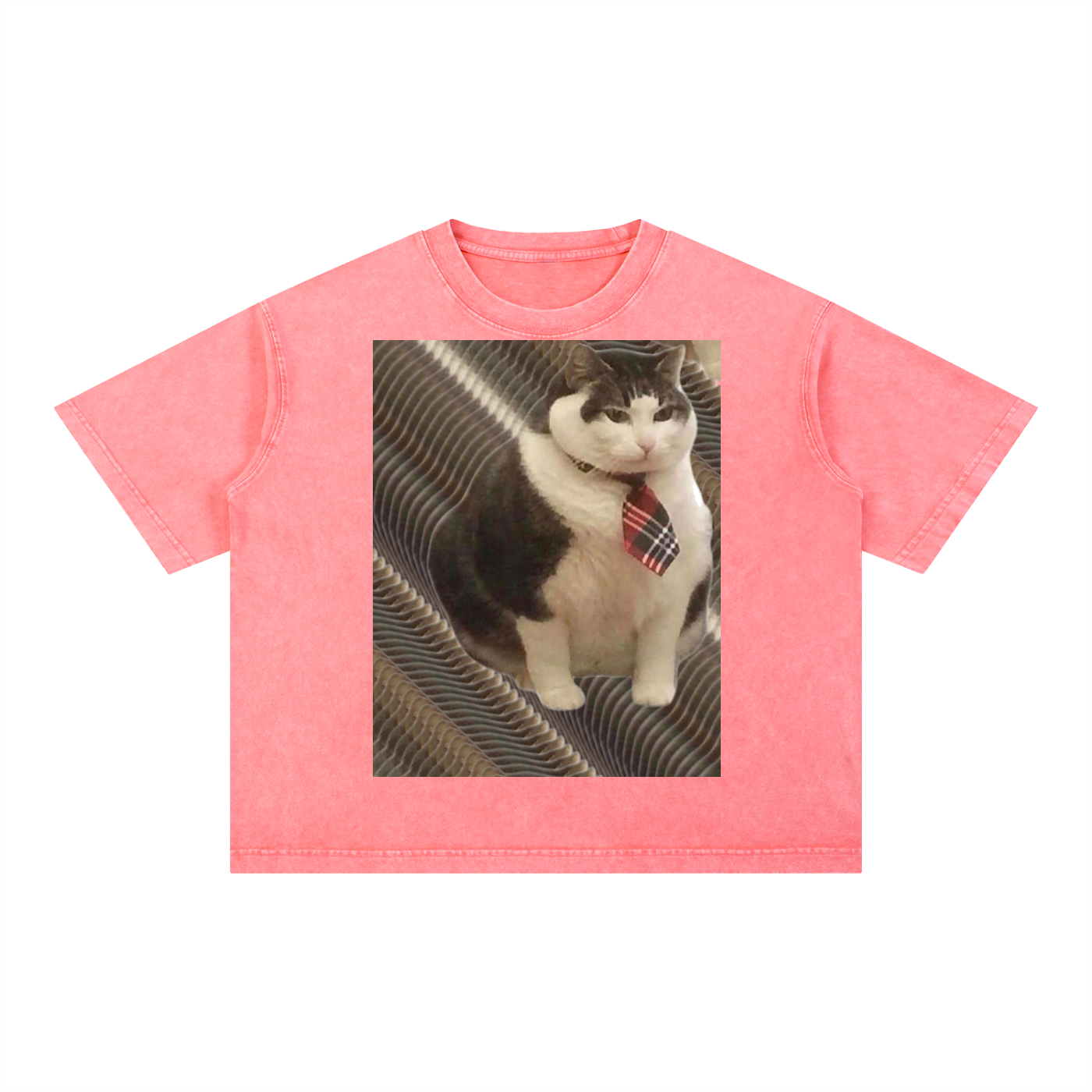 FtCat DupI, Mineral Wash Boxy Cotton T-Shirt