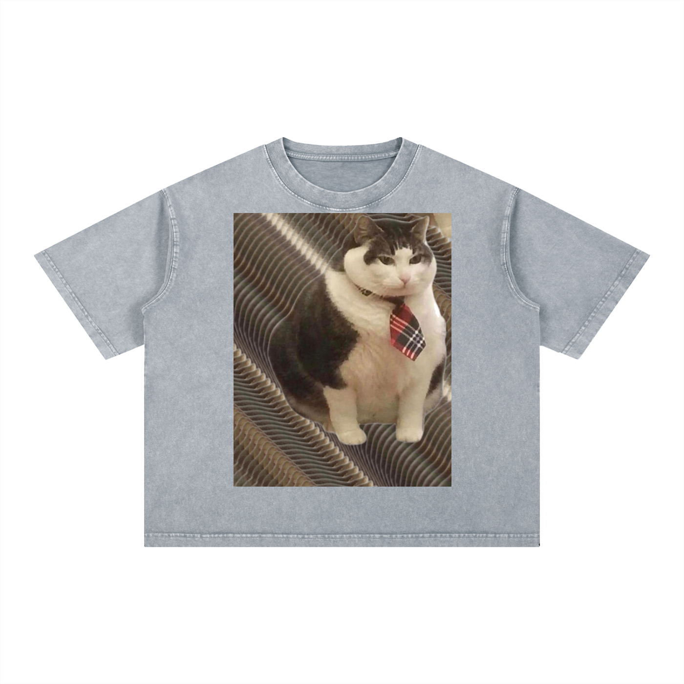 FtCat DupI, Mineral Wash Boxy Cotton T-Shirt