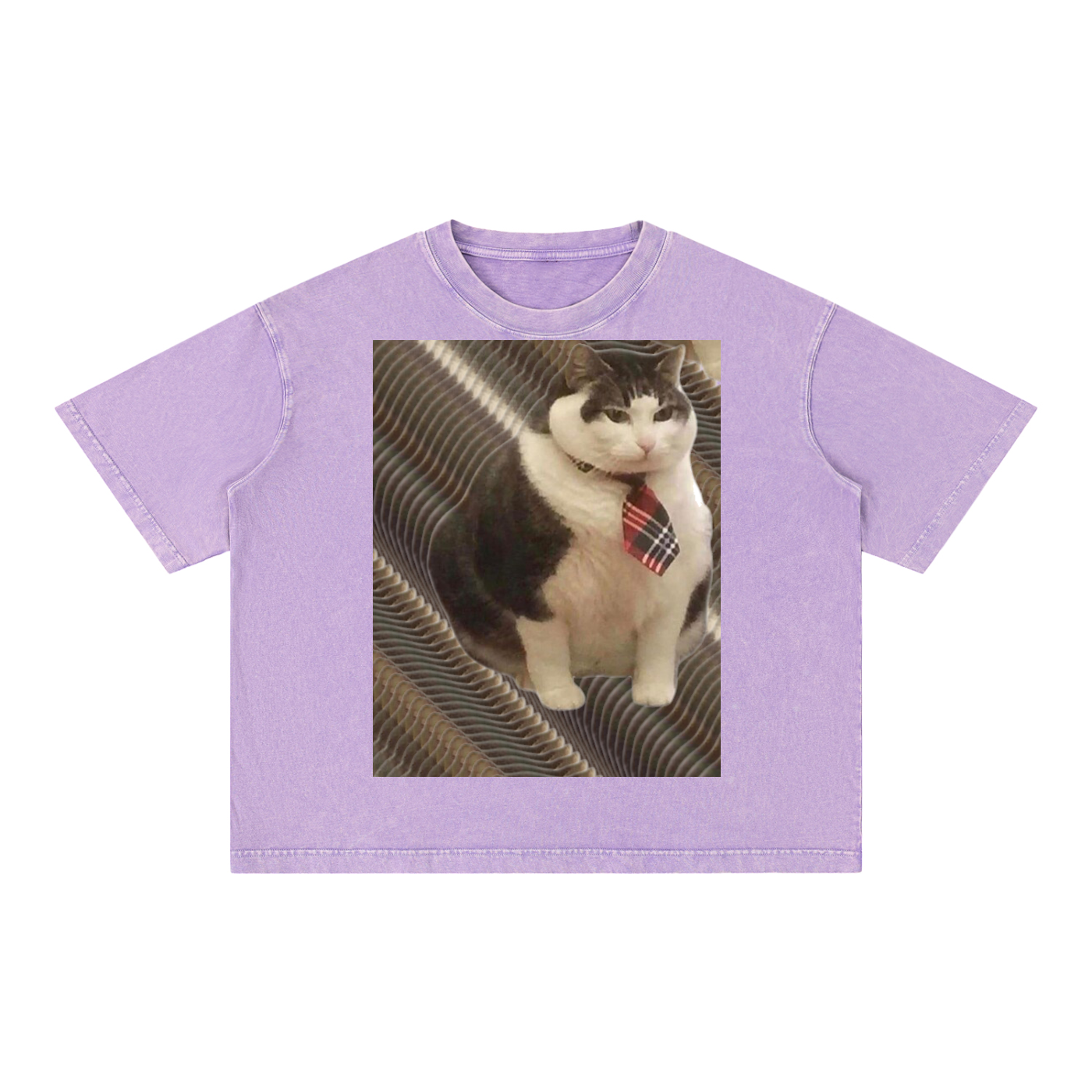 FtCat DupI, Mineral Wash Boxy Cotton T-Shirt