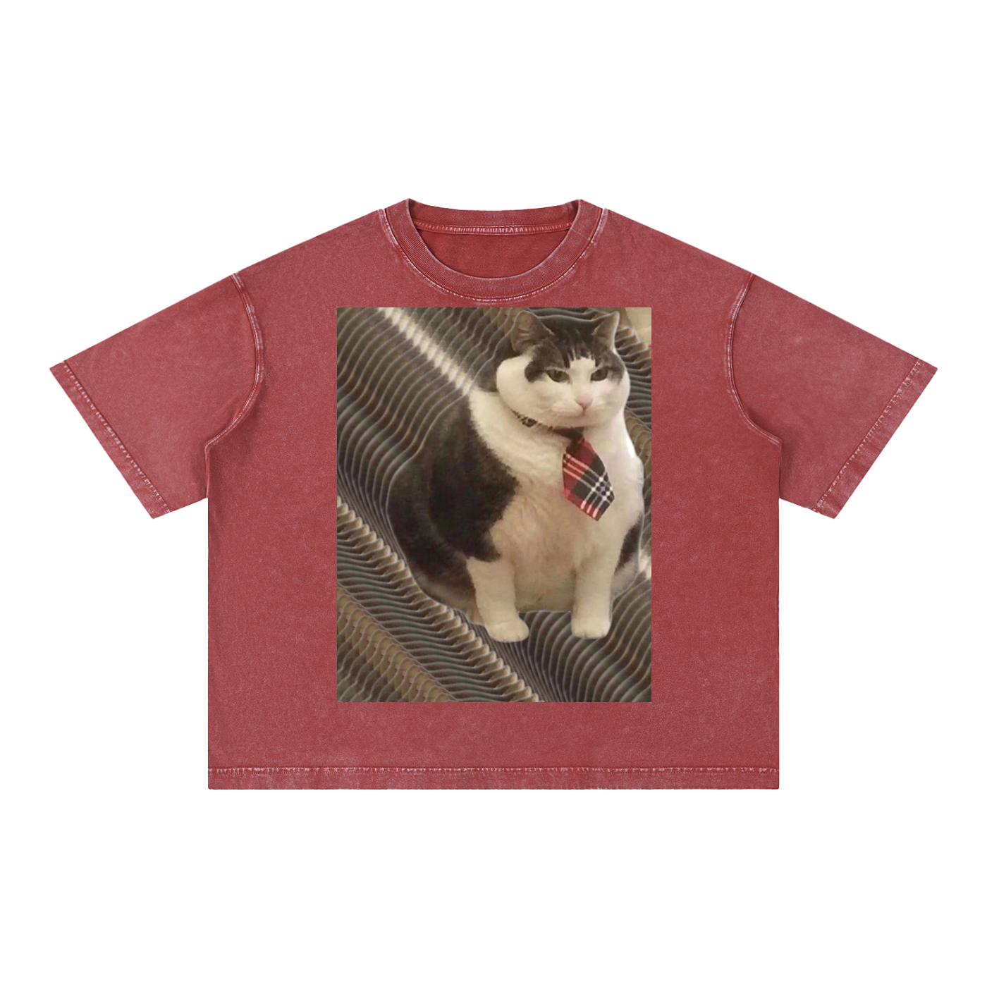 FtCat DupI, Mineral Wash Boxy Cotton T-Shirt