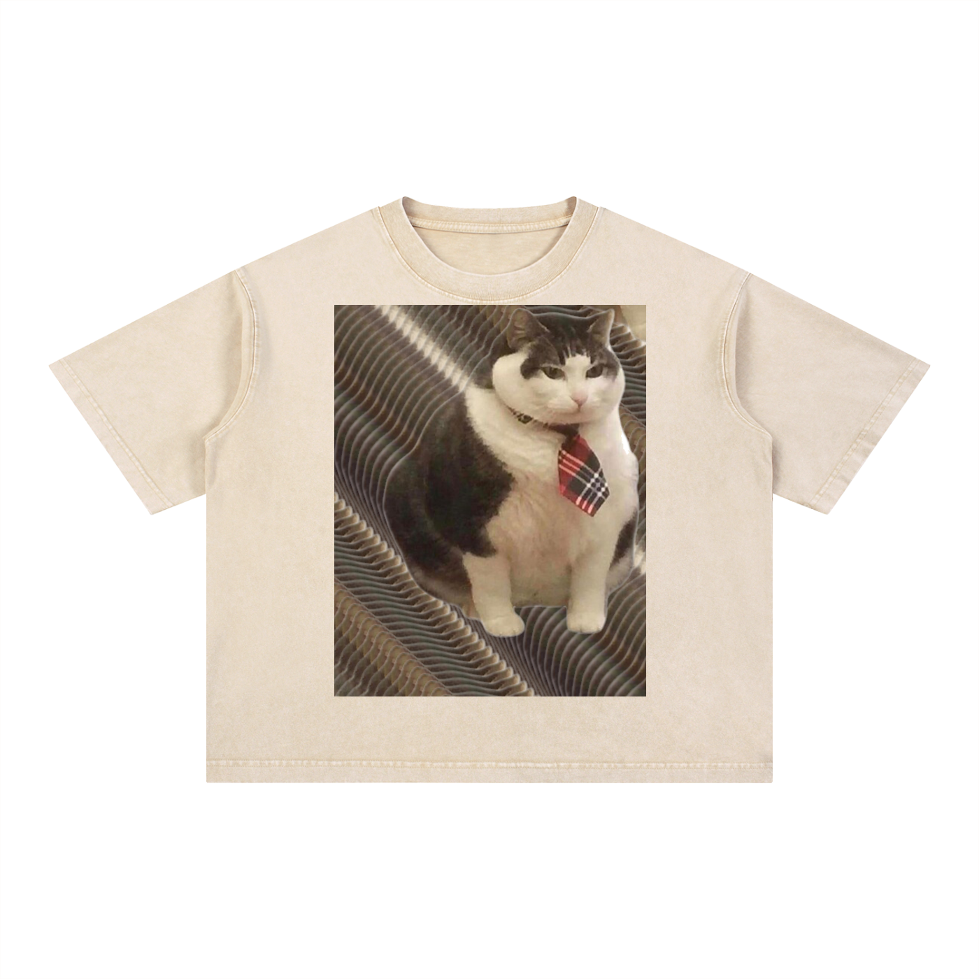 FtCat DupI, Mineral Wash Boxy Cotton T-Shirt