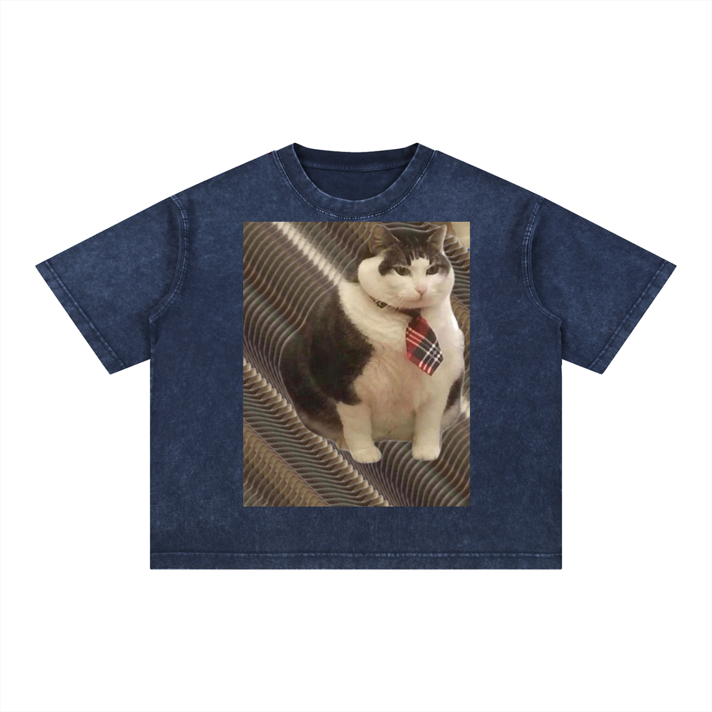 FtCat DupI, Mineral Wash Boxy Cotton T-Shirt