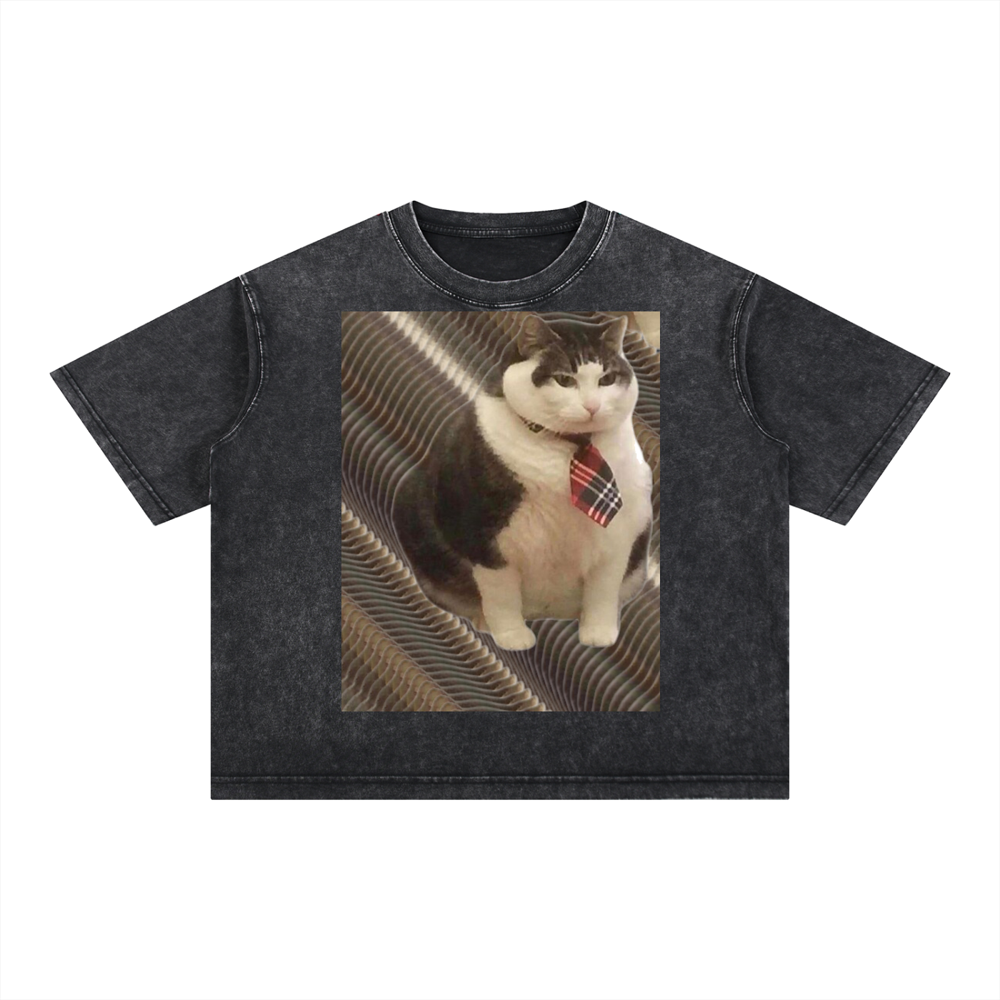 FtCat DupI, Mineral Wash Boxy Cotton T-Shirt