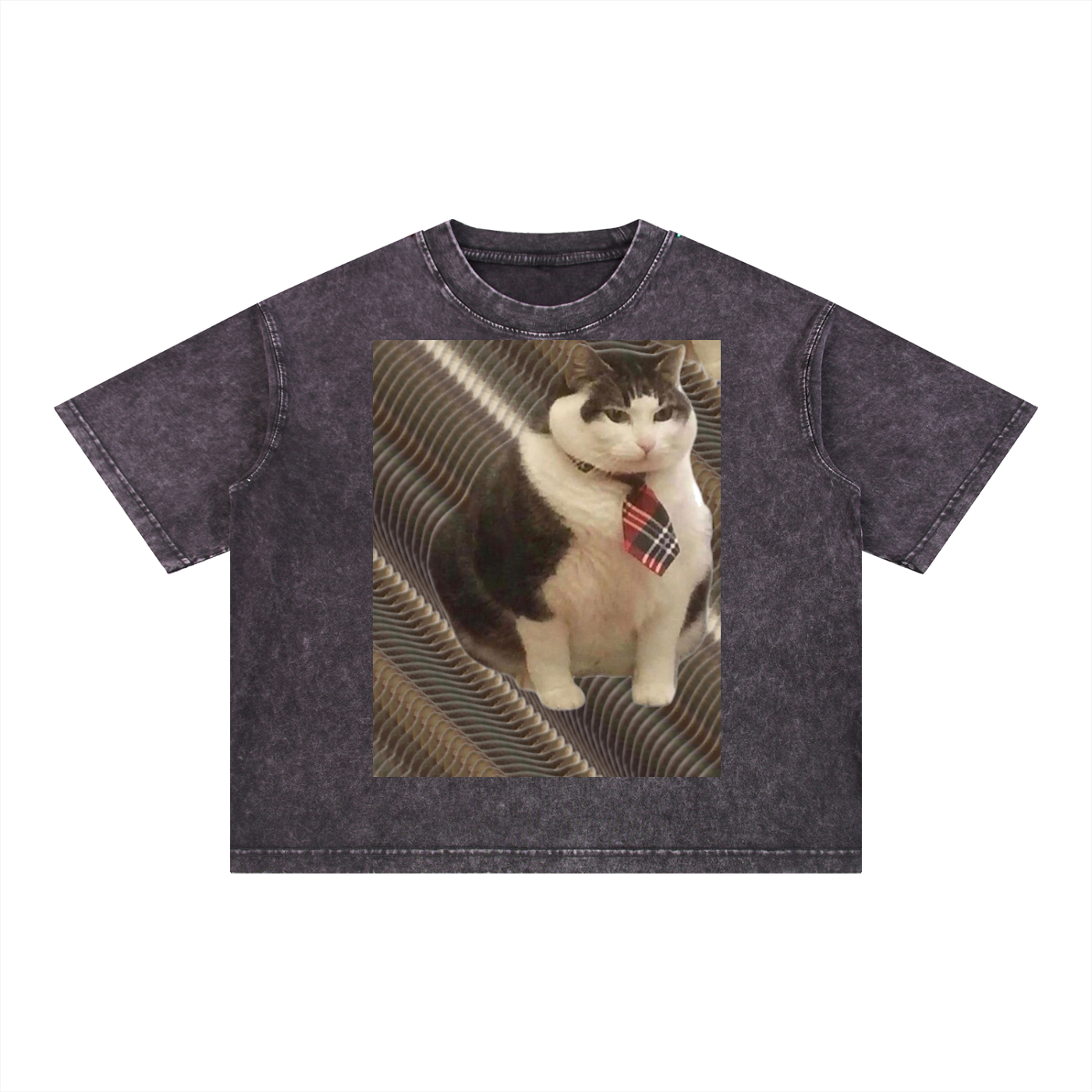 FtCat DupI, Mineral Wash Boxy Cotton T-Shirt